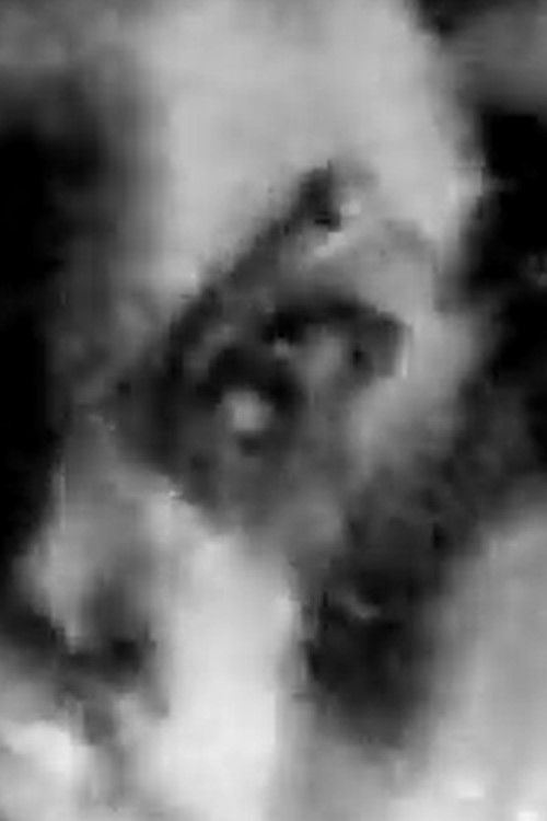 Underwater Deformations (2020) poster