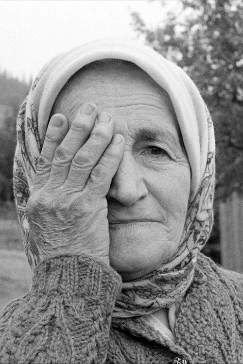 Pictograph (2007) poster