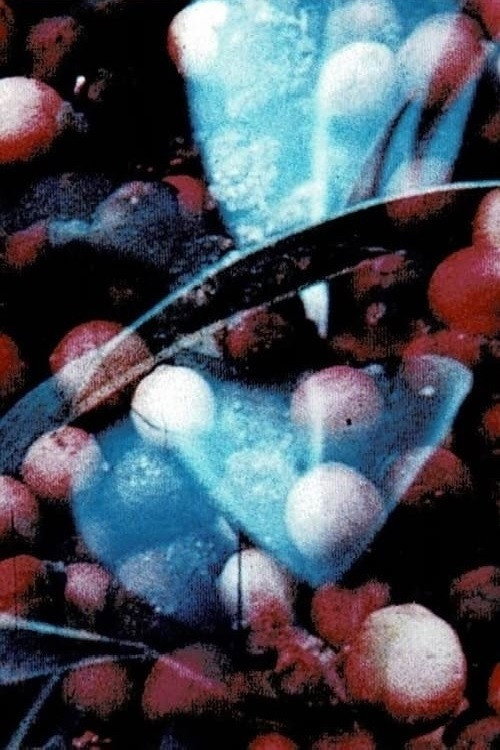 Bark-Rind (1977) poster