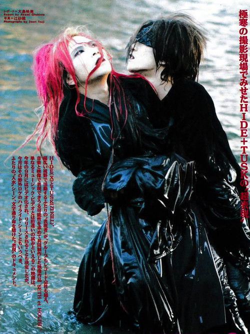 Seth et Holth (1993) poster