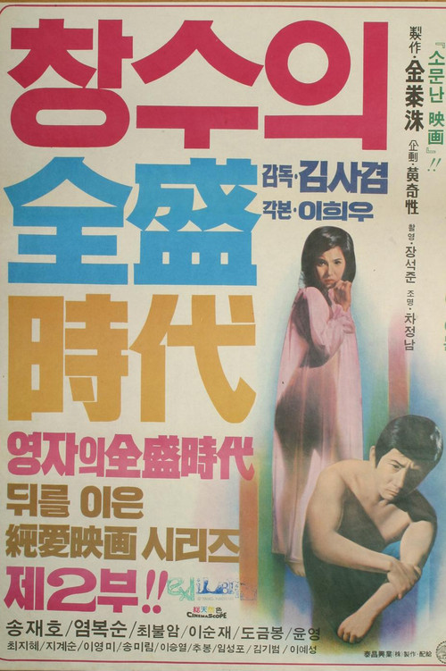 Chang-Su's Heydays (1975) poster