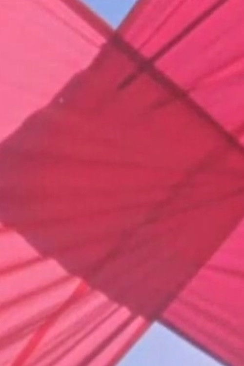 Weightless (2007) poster