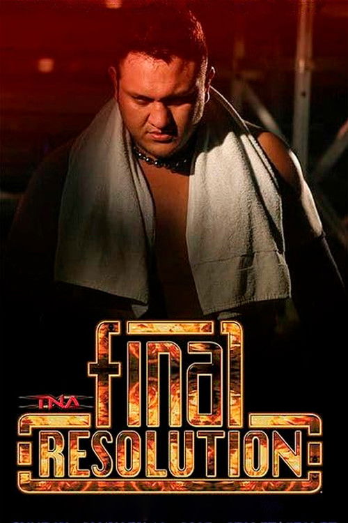 TNA Final Resolution 2007 (2007) poster