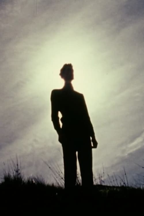 The Secret (1973) poster