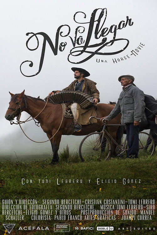 No va llegar (2016) poster