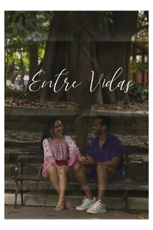 Entre Vidas poster