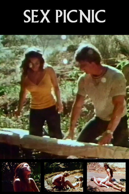 Sex Picnic (1971) poster
