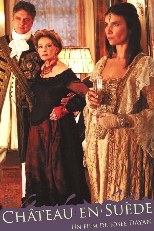 Château en Suède (2008) poster