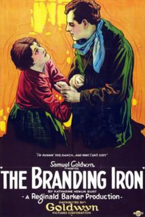 The Branding Iron (1920) poster