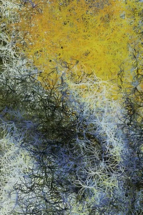 Nocturne no.248 (2008) poster