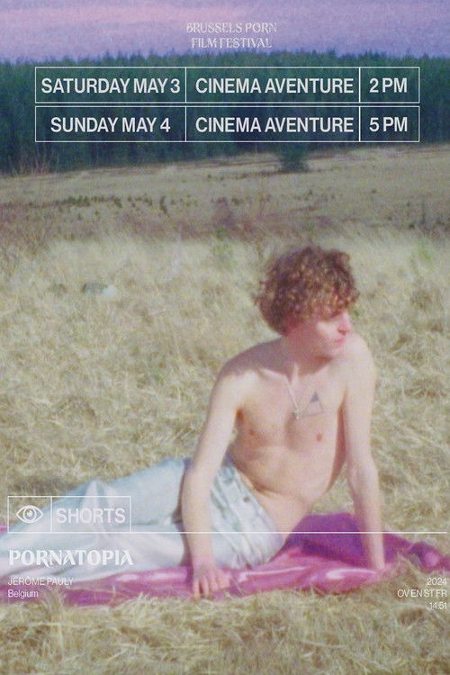 PornAtopia (2024) poster