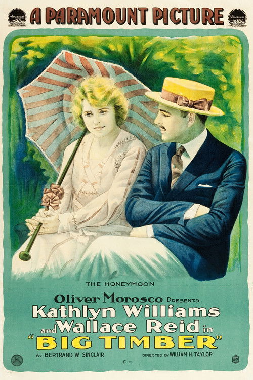 Big Timber (1917) poster