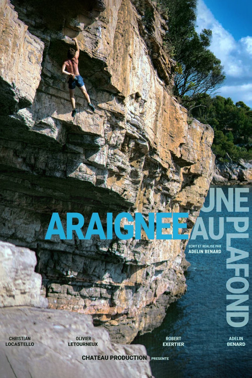 Une Araignée au Plafond (2021) poster