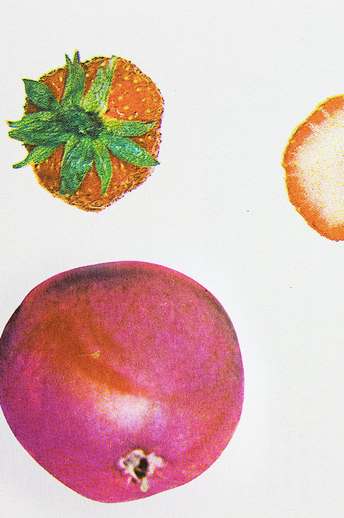 Dancing Fruit (2023) poster