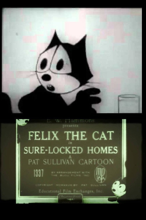 Sure-Locked Homes (1928) poster