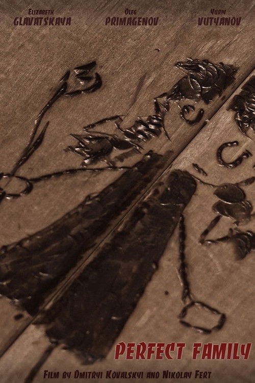 Perfect Family (2019) poster