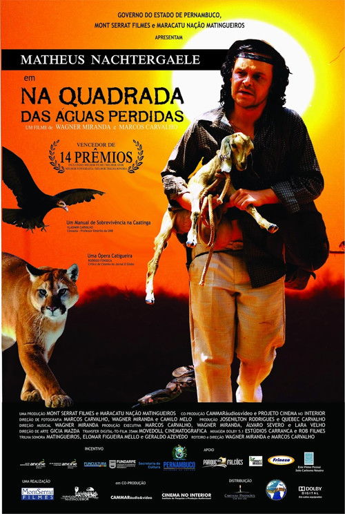 Na Quadrada das Águas Perdidas (2013) poster