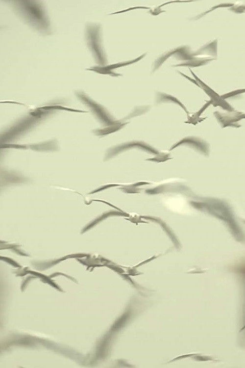 White Trash (2017) poster