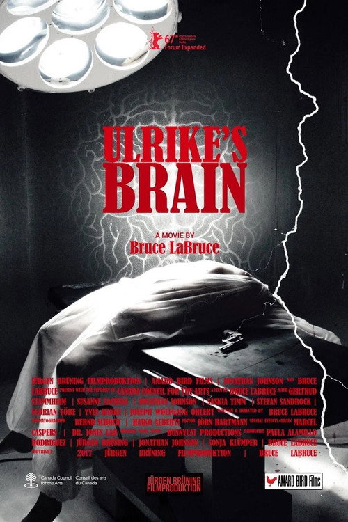 Ulrike's Brain (2017) poster