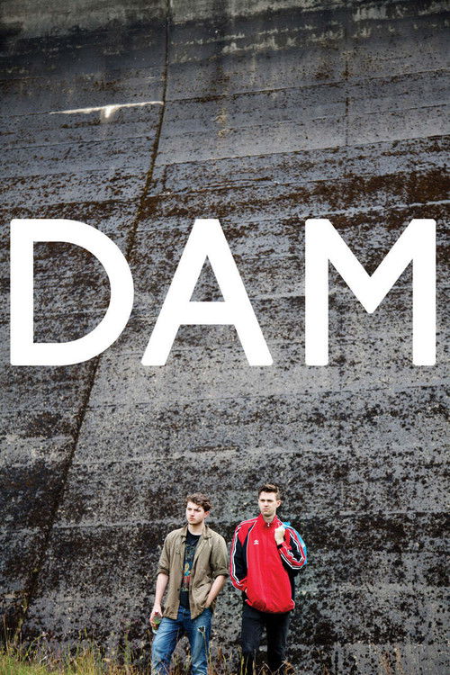 Dam (2017) poster