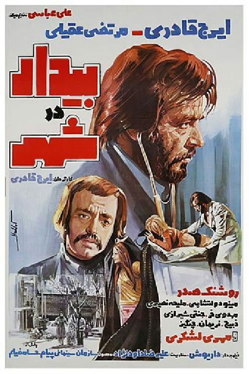 Awake in the City (1976) poster