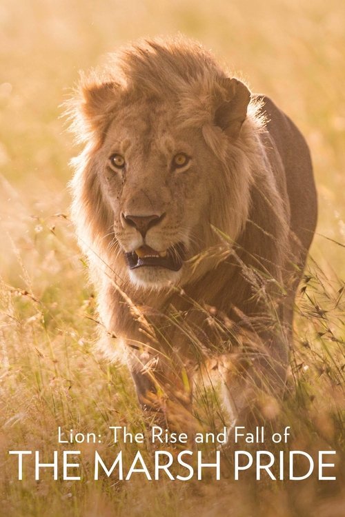 Lion: The Rise and Fall of the Marsh Pride (2022) poster