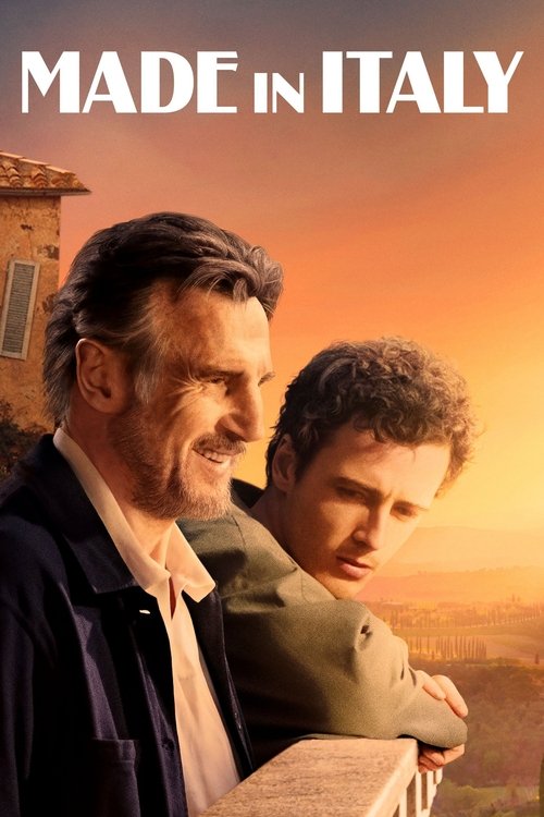 Made in Italy (2020) poster