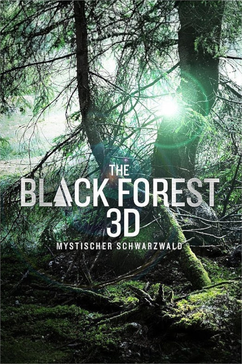 The Black Forest - Mystischer Schwarzwald (2013) poster