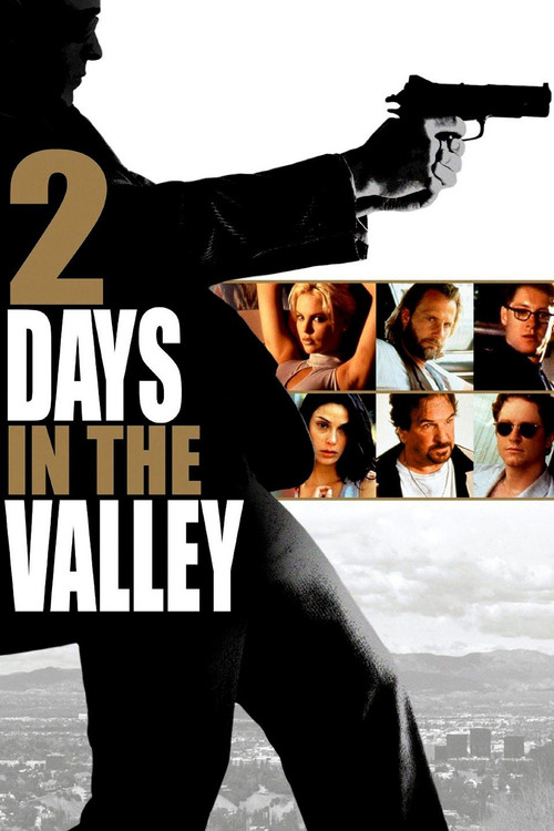 2 Days in the Valley (1996) poster