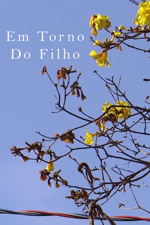 About The Son (2020) poster