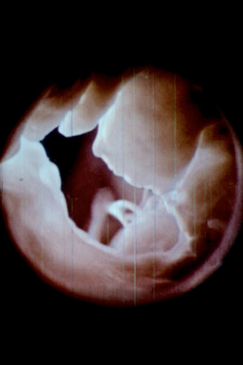 心 Heart (Radical 61) (2020) poster