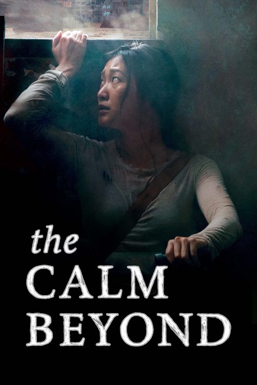 The Calm Beyond (2020) poster