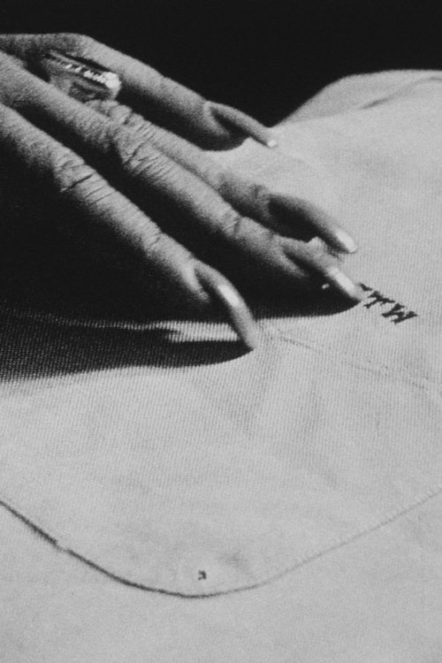 The Guest (1977) poster