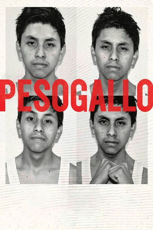 Peso Gallo (2022) poster