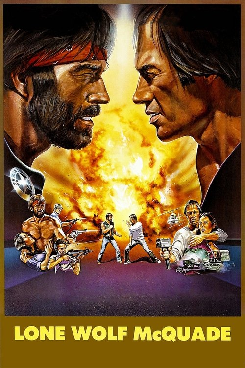 Lone Wolf McQuade (1983) poster
