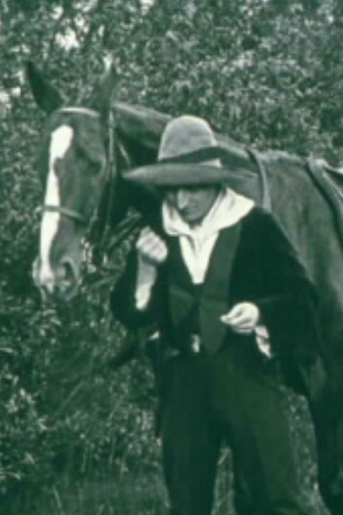 A Telegram from Mexico (1914) poster