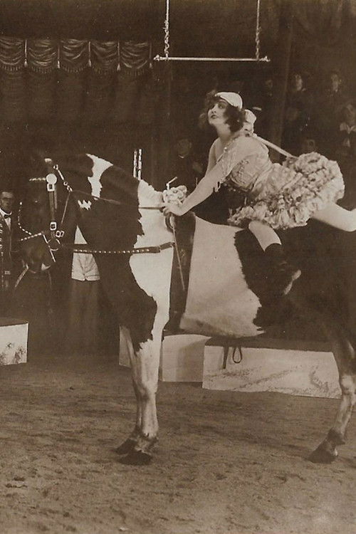 Um Krone und Peitsche (1919) poster