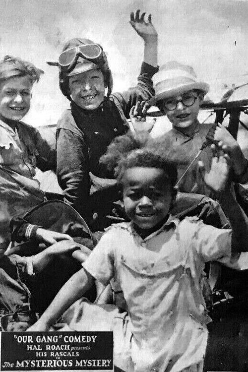 The Mysterious Mystery! (1924) poster