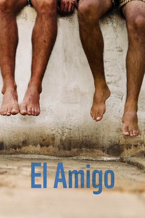 The Good Friend (2017) poster