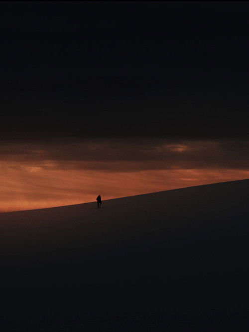 Dove gli Alberi non Parlano (2025) poster