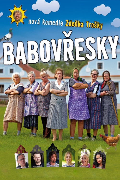 Babovřesky (2013) poster