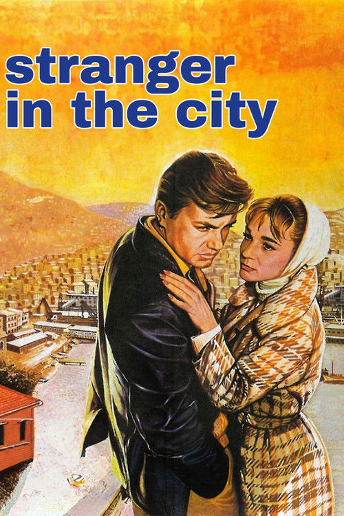 The Stranger in Town (1963) poster