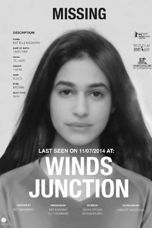 Winds Junction (2015) poster