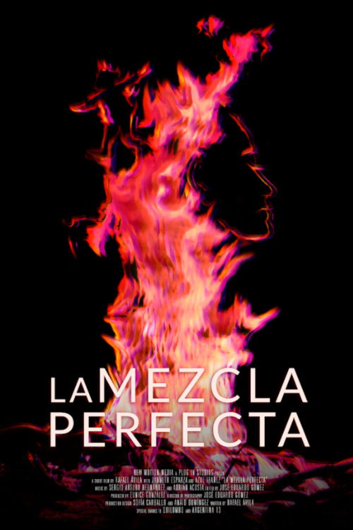 La mezcla perfecta (2020) poster