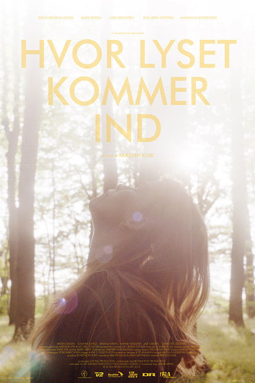 Hvor lyset kommer ind (2013) poster