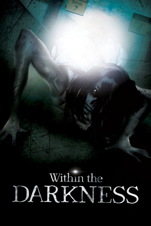 Within the Darkness (2013) poster