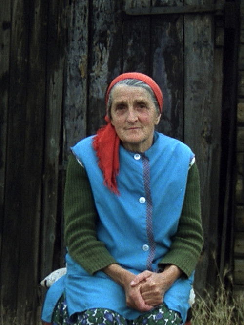 Wolters Trude (1978) poster