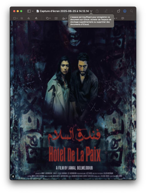 Hôtel de la Paix (2025) poster