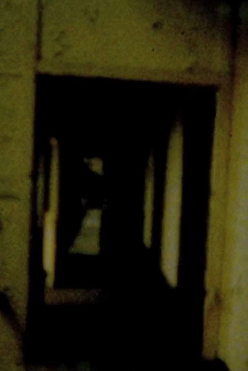 Clip (1997) poster