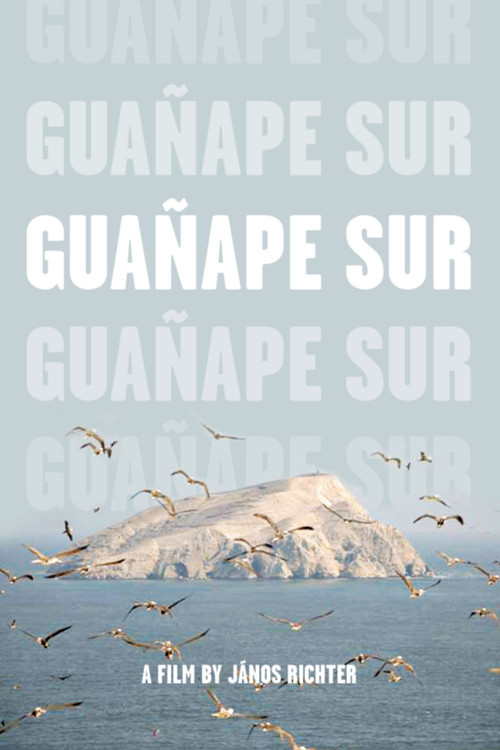 Guañape sur (2011) poster